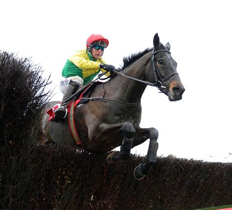 Listowel Races : Serious Fun .